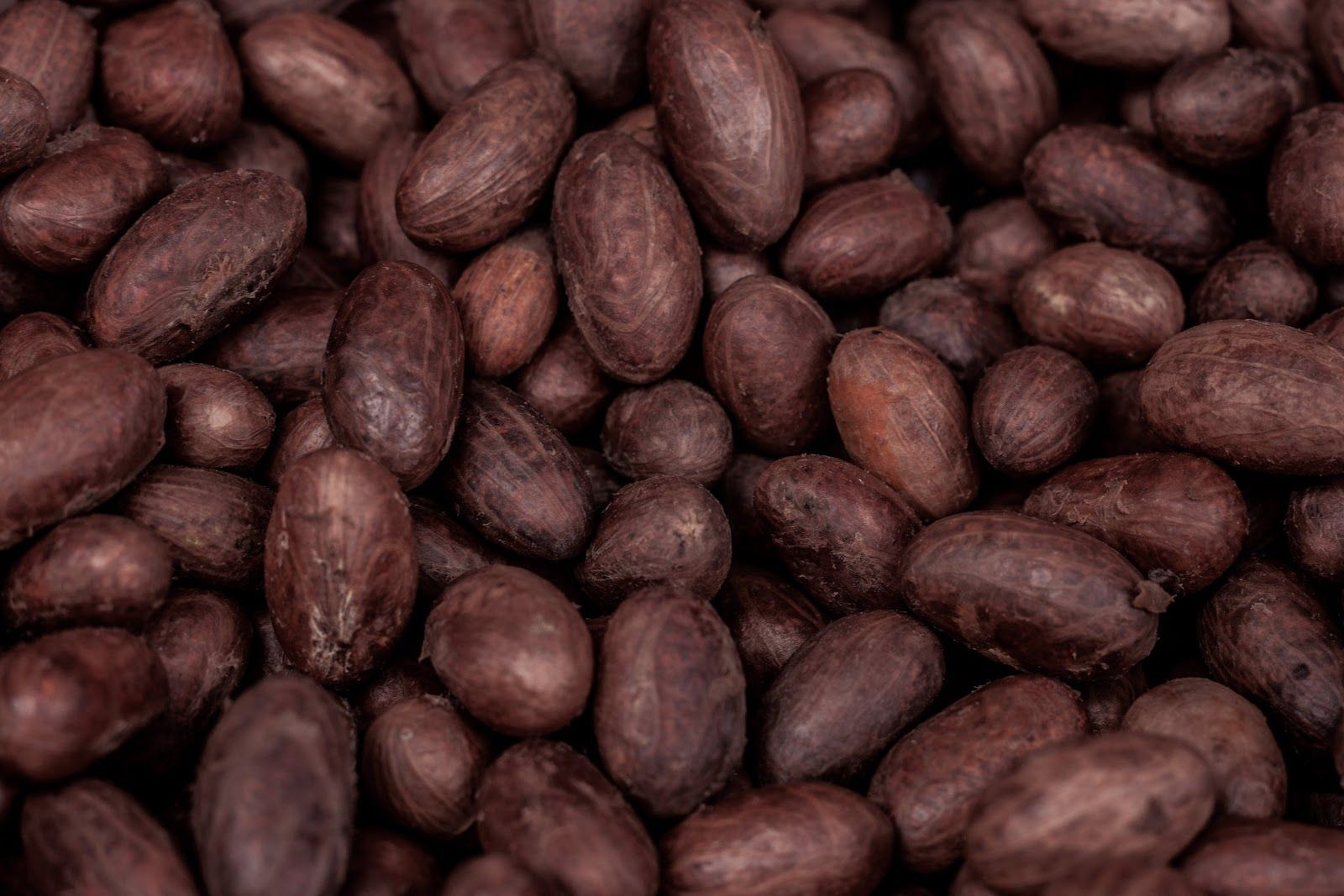 Cacao Beans