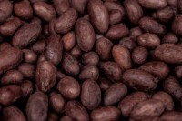 Cacao Beans